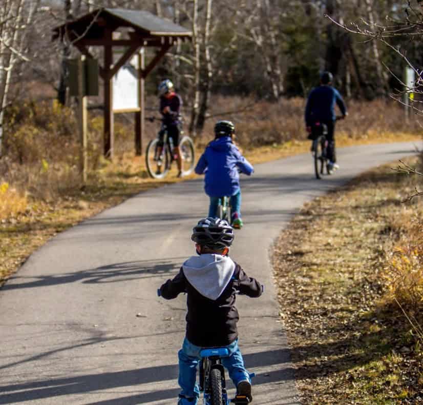 Kinder mit Fahrrädern auf einem Weg im Grünen